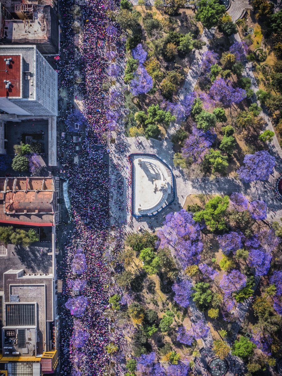 Revolución de Genero